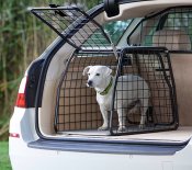 Hundbur Audi A6 från 2025-