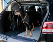 Hundbur Volkswagen Sharan från 2011-2023