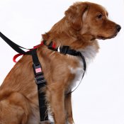 Artfex Dog Harness - Hundsele anpassad för ISOFIX