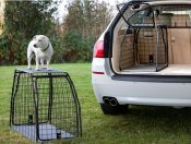 Hundbur till Volkswagen Tiguan från 2016-