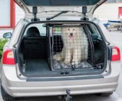 Hundbur Volvo V70 från 2008-2016