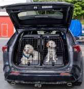 Hundbur Toyota RAV4 från 2019-2025