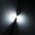 Diodlampa 12V 2xCOB 900 lm