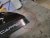 Huvskydd BASIC till Fiat Ducato/Peugeot Boxer 2014- | Andrahandssortering
