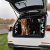 Hundgrind Ceed SW (Kia) 2007-2012