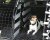 Hundgrind Skoda Kodiaq från 2024-