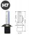 Standard Xenonkit | 75W