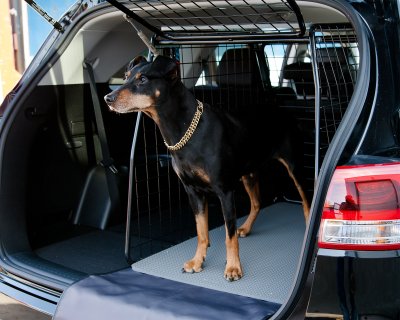 Hundbur Peugeot Rifter från 2018-