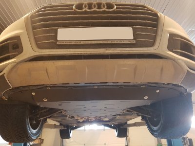 Hasplåt till Audi Q8 från 2018-