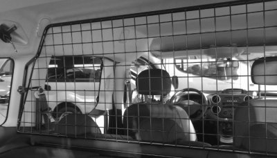 Lastgaller till Citroën Berlingo Family från 2008-2018