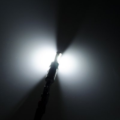 Diodlampa 12V 2xCOB 900 lm