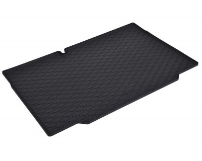 Gummimattor till Renault Clio från 2026-