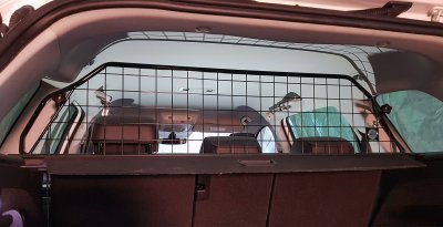 Lastgaller Skoda Kodiaq från 2017-