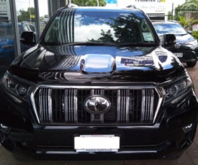 Transparent huvskydd Toyota Land Cruiser 150 från 2018-