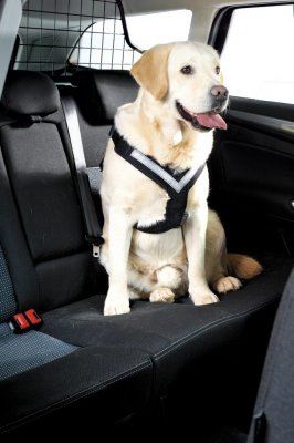 Hundsele MIM Allsafe - Krocktestad hundsele