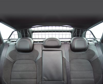 Hundgaller Citroën DS5 2012-