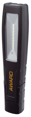 Ficklampa Award