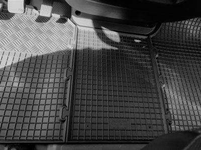 Gummimattor Fiat Ducato från 2006-2024