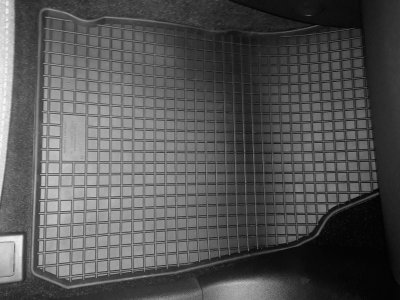 Gummimattor Ford Ecosport 2014-
