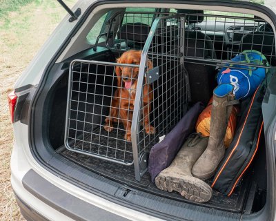 Tailgate Hundgrind till Avdelare – Säkerhetsgrind för Bil