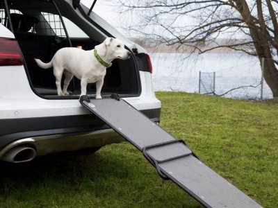 Hundramp till bil - För ett enklare insteg för hunden