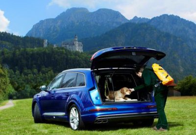 Hundbur Audi Q7 från 2015-