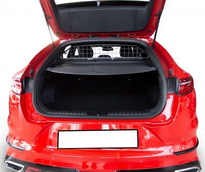 Lastgaller Kia Proceed från år 2019-