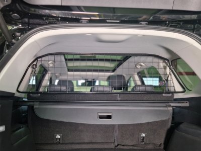 Lastgaller Maxus Euniq 6 från 2021-
