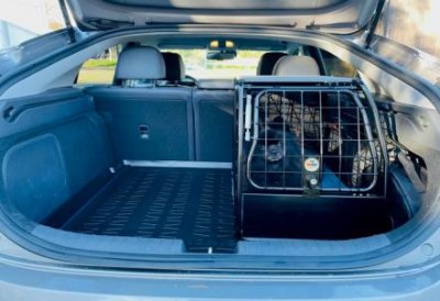 Hundbur Hyundai IONIQ från 2016-