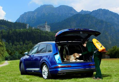 Hundbur till Audi Q7 från 2015- (Large)